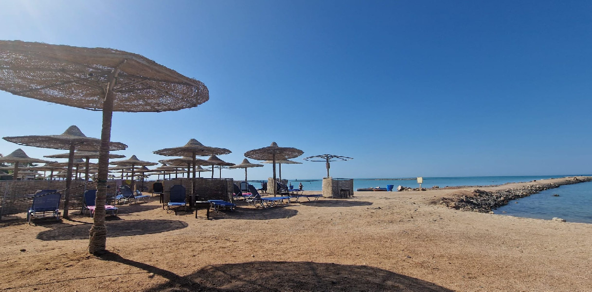 Turtles beach resort studio
