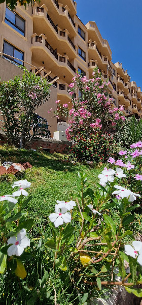 Turtles beach resort studio